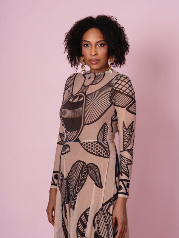 DSC00019 MESH DRESS